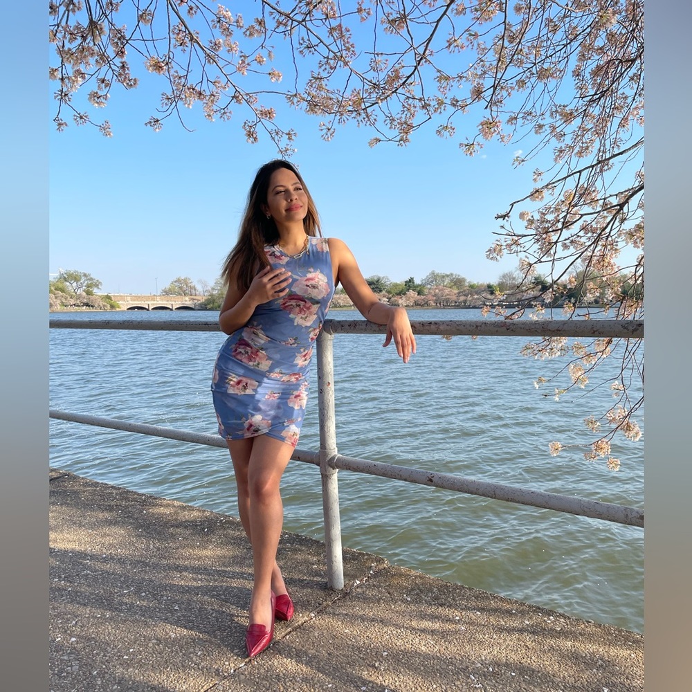 Mesh cherry blossom dress